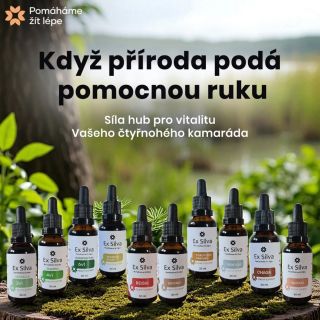 VITÁLNÍ HOUBY Ex Silva🌱 Prémiové produkty pro psy a kočky. ▶️ při boji proti nádorovým onemocněním ▶️ podpora imunity ▶️...