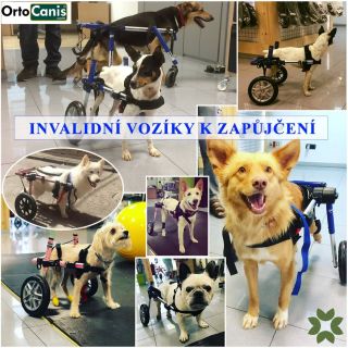 INVALIDNÍ VOZÍČKY k zapůjčení🐾 Momentálně máme všechny vozíčky v terénu/zapůjčené, ale pro velký zájem i nadále nakupujeme...