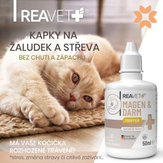 KAPKY NA ŽALUDEK a STŘEVA pro kočky od firmy ReaVet🌱 Špatné zažívání? Ať z důvodu stresu, změny stravy či citlivého...