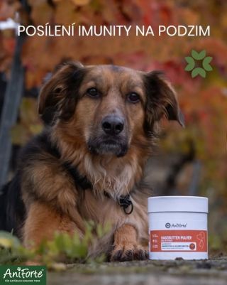 Posílení imunity na podzim🍂🍁 Podzim se ukazuje ve svých nejkrásnějších barvách, ale taky vyzývá imunitní systém váš i...