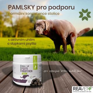 PAMLSKY pro podporu normální konzistence stolice pro psy od firmy ReaVet🌱 🌱podporují zdravé trávení a pevnou 💩 🌱s aktivním...