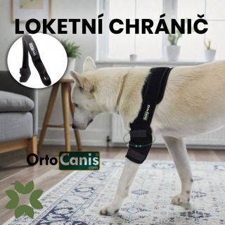 LOKETNÍ CHRÁNIČ od firmy OrtoCanis 🐾 Vhodný k použití: 🐕 před i po operaci 🐕 při revmatoidni artritidě 🐕 při...