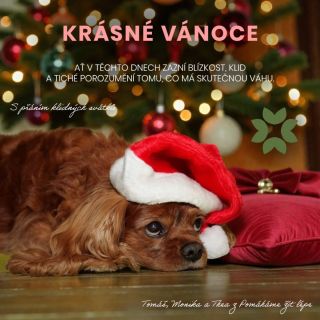 Přejeme Vám všem kouzelné Vánoce plné radosti, pohody a nezapomenutelných chvil s těmi, které máte rádi. Ať jsou pro Vás...