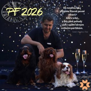 Na konci tohoto roku bychom se chtěli na chvíli zastavit a říct vám DĚKUJEME💚. Za to, že nám svěřujete péči o zdraví svých...